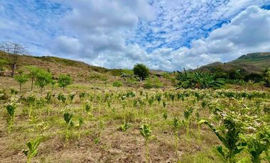 Tanah murah dekat pantai lancing dan tampah lombok. Cocok untuk villa