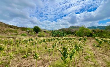 Tanah murah dekat pantai lancing dan tampah lombok. Cocok untuk villa