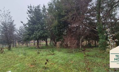 Amplia Casa en Parcela, Paillao, Valdivia