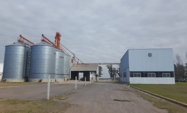 Vendo Molino Harinero y Planta de Silos en Parque Industrial San Francisco