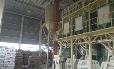 Vendo Molino Harinero y Planta de Silos en Parque Industrial San Francisco