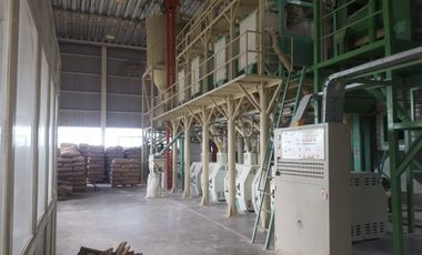 Vendo Molino Harinero y Planta de Silos en Parque Industrial San Francisco