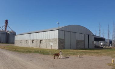 Vendo Molino Harinero y Planta de Silos en Parque Industrial San Francisco