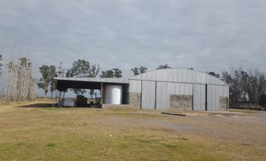 Vendo Molino Harinero y Planta de Silos en Parque Industrial San Francisco