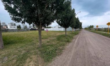 Vendo Terreno 14 x 25 mts en Loteo Palmares III