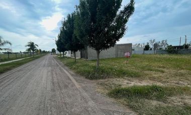 Vendo Terreno 14 x 25 mts en Loteo Palmares III