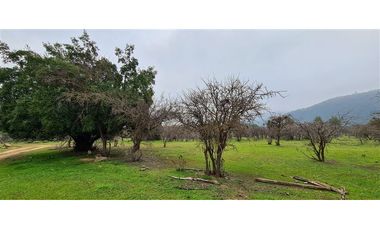 Parcela En Venta En Pumanque
