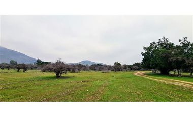 Parcela En Venta En Pumanque