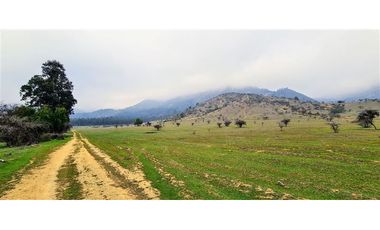 Parcela En Venta En Pumanque