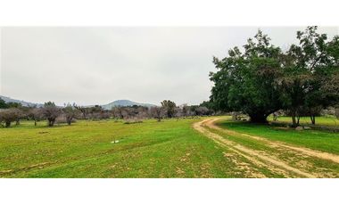 Parcela En Venta En Pumanque