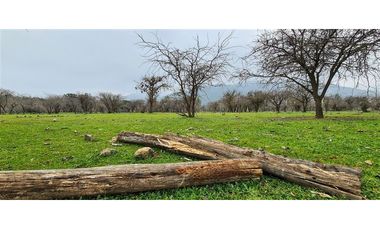 Parcela En Venta En Pumanque