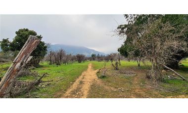 Parcela En Venta En Pumanque