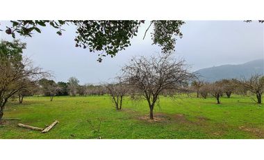 Parcela En Venta En Pumanque