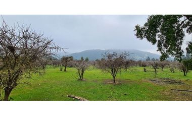 Parcela En Venta En Pumanque