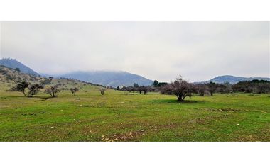 Parcela En Venta En Pumanque