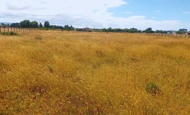 Parcela Quilquico, Castro Chiloé