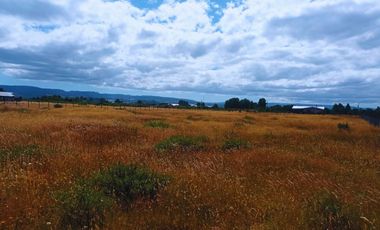 Parcela Quilquico, Castro Chiloé