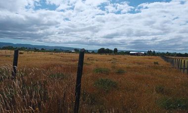 Parcela Quilquico, Castro Chiloé