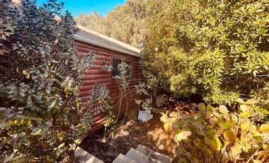 A pasos de todo, El Quisco Norte