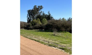 EXCELENTE!! Parcelas de 5.000 m2 con Rol Propio en "Lomas de Quiñicaben", Litueche