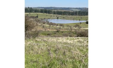 EXCELENTE!! Parcelas de 5.000 m2 con Rol Propio en "Lomas de Quiñicaben", Litueche