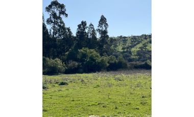 EXCELENTE!! Parcelas de 5.000 m2 con Rol Propio en "Lomas de Quiñicaben", Litueche