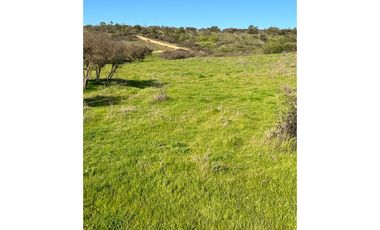 EXCELENTE!! Parcelas de 5.000 m2 con Rol Propio en "Lomas de Quiñicaben", Litueche