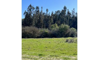 EXCELENTE!! Parcelas de 5.000 m2 con Rol Propio en "Lomas de Quiñicaben", Litueche
