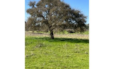 EXCELENTE!! Parcelas de 5.000 m2 con Rol Propio en "Lomas de Quiñicaben", Litueche