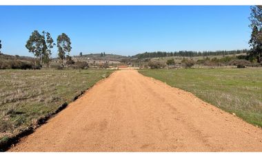 EXCELENTE!! Parcelas de 5.000 m2 con Rol Propio en "Lomas de Quiñicaben", Litueche