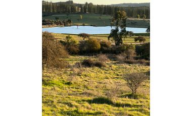 EXCELENTE!! Parcelas de 5.000 m2 con Rol Propio en "Lomas de Quiñicaben", Litueche