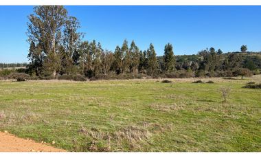 EXCELENTE!! Parcelas de 5.000 m2 con Rol Propio en "Lomas de Quiñicaben", Litueche