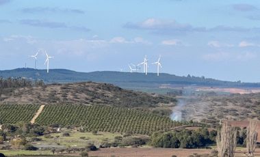 EXCELENTE!! Parcelas de 5.000 m2 con Rol Propio en "Lomas de Quiñicaben", Litueche