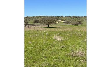 EXCELENTE!! Parcelas de 5.000 m2 con Rol Propio en "Lomas de Quiñicaben", Litueche