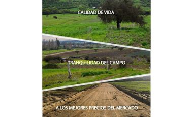 EXCELENTE!! Parcelas de 5.000 m2 con Rol Propio en "Lomas del Sauce", Litueche
