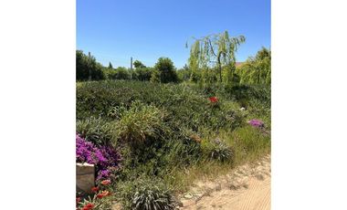 EXCELENTE!! Parcelas de 5.000 m2 con Rol Propio en "Lomas del Sauce", Litueche