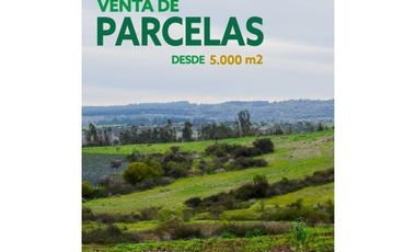 EXCELENTE!! Parcelas de 5.000 m2 con Rol Propio en "Lomas del Sauce", Litueche