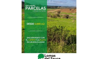 EXCELENTE!! Parcelas de 5.000 m2 con Rol Propio en "Lomas del Sauce", Litueche