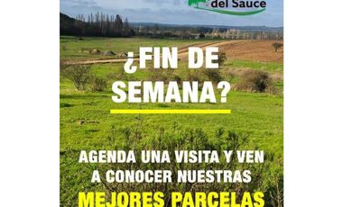 EXCELENTE!! Parcelas de 5.000 m2 con Rol Propio en "Lomas del Sauce", Litueche