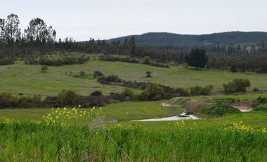 EXCELENTE!! Parcelas de 5.000 m2 con Rol Propio en "Lomas del Sauce", Litueche