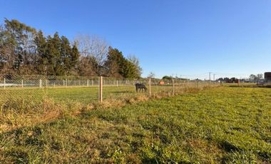 Venta terreno barrio Las Fincas