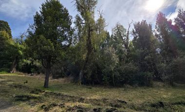 TERRENO DE 1 Ha EN PARQUE LAGUNA BRYCHAN