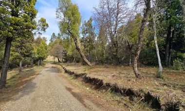 TERRENO DE 1 Ha EN PARQUE LAGUNA BRYCHAN