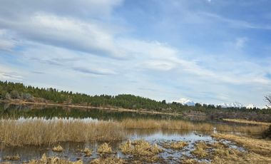 TERRENO DE 1 Ha EN PARQUE LAGUNA BRYCHAN