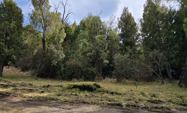 TERRENO DE 1 Ha EN PARQUE LAGUNA BRYCHAN