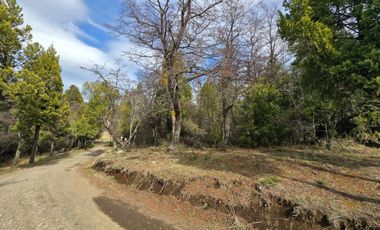 TERRENO DE 1 Ha EN PARQUE LAGUNA BRYCHAN