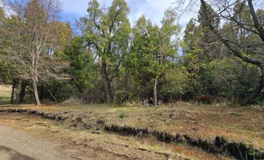 TERRENO DE 1 Ha EN PARQUE LAGUNA BRYCHAN