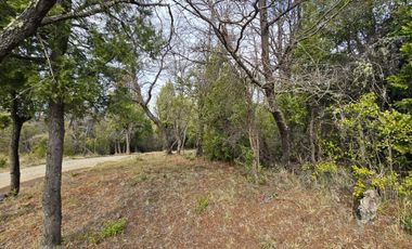 TERRENO DE 1 Ha EN PARQUE LAGUNA BRYCHAN