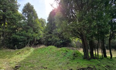 TERRENO DE 1 Ha EN PARQUE LAGUNA BRYCHAN
