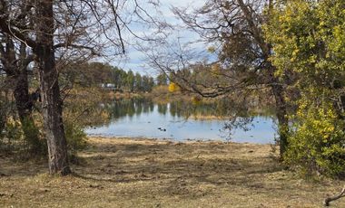 TERRENO DE 1 Ha EN PARQUE LAGUNA BRYCHAN